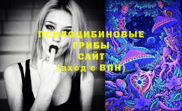 jwh Арсеньев