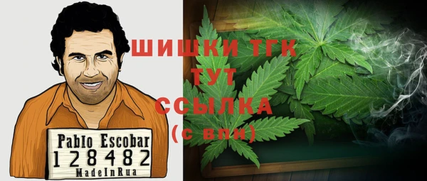ГАЛЛЮЦИНОГЕННЫЕ ГРИБЫ Аркадак