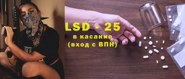 ГАЛЛЮЦИНОГЕННЫЕ ГРИБЫ Аркадак